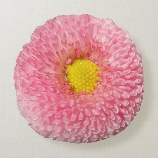 Pink Daisy floral beauty round  cushion (Front)