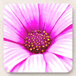 Pink Daisy Flower Coasters