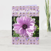 Pink Daisy Flower Floral Conrgatulations art Card