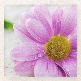 Pink Daisy Flower Glass Coaster