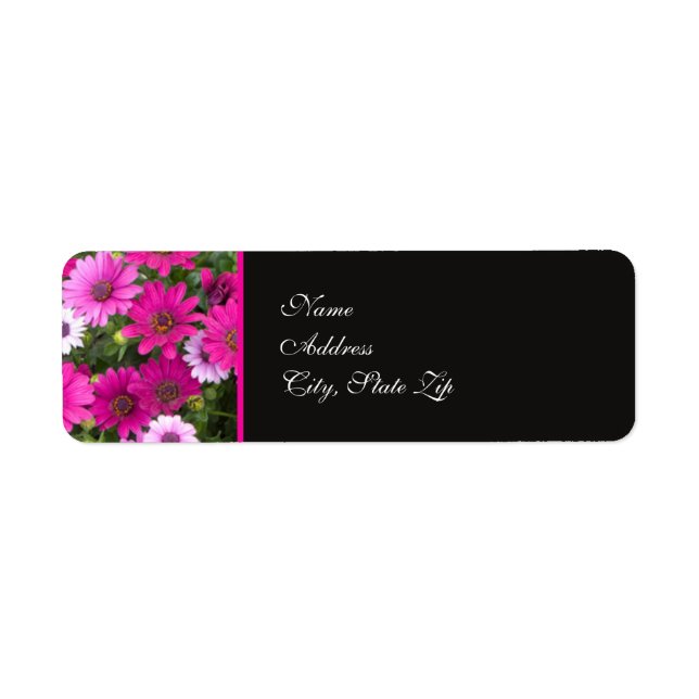 Pink Daisy Flower Return Address Label (Front)