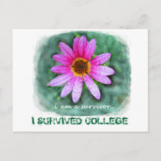 Pink Daisy I am a Survivor Postcard