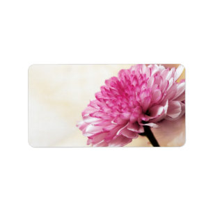 pink daisy label