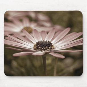 Pink Daisy macro Mouse Pad
