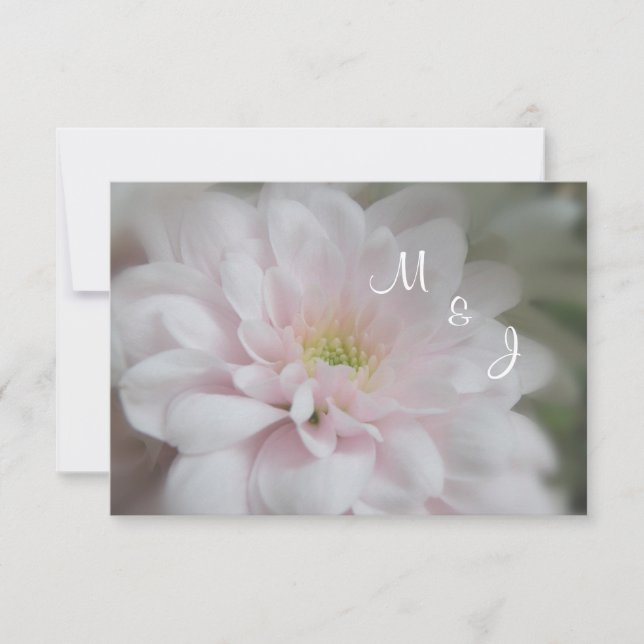 Pink Daisy Mum Wedding Response RSVP Card (Front)