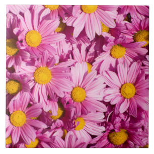 Pink daisy pattern ceramic tile