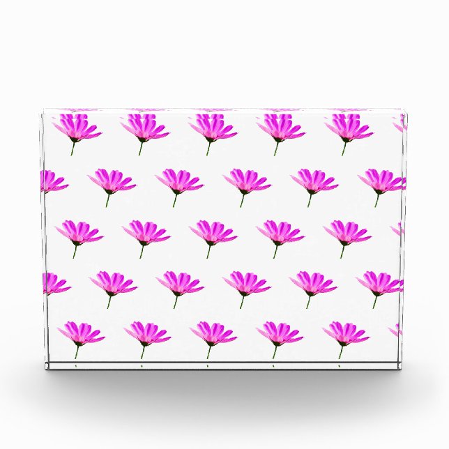 Pink Daisy   Photo Block (Front)