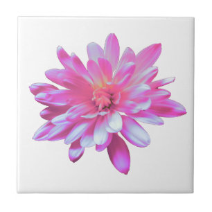 Pink Daisy pink floral pink flower Ceramic Tile