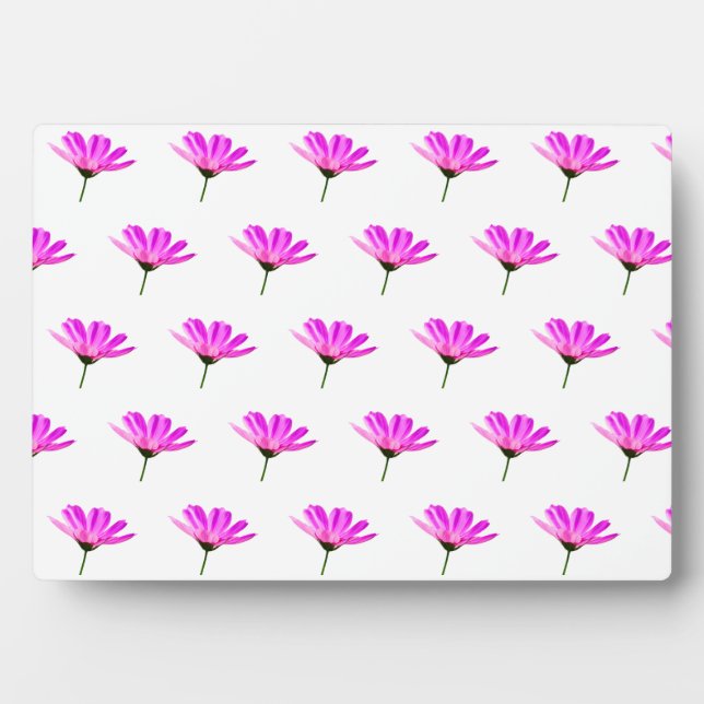 Pink Daisy   Plaque (Front)