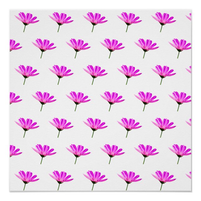 Pink Daisy  Poster (Front)