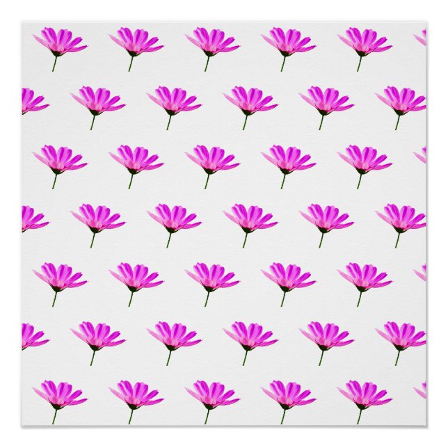 Pink Daisy   Poster (Front)