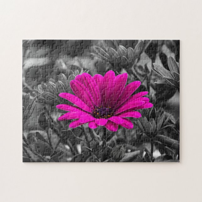 Pink Daisy Puzzle (Horizontal)