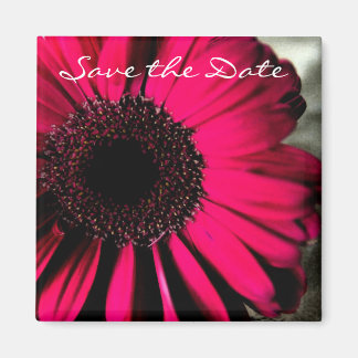 Pink Daisy Save the Date Magnet