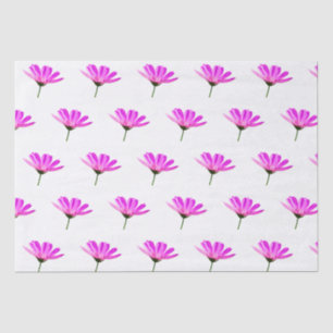 Pink Daisy  Tissue Paper