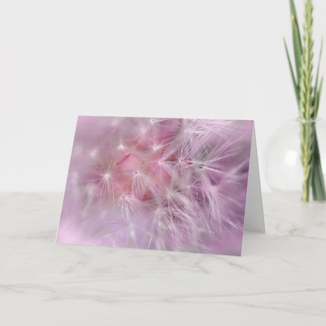Pink Dandelion Blank Greeting Card (Front)