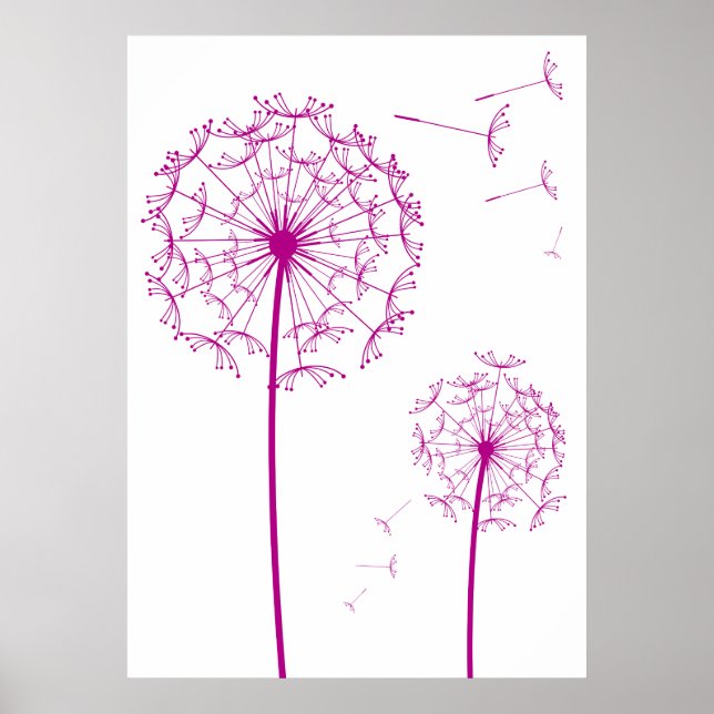 pink dandelion poster (Front)