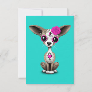 Pink Day of the Dead Chihuahua