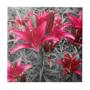 Pink Daylilies Flowers Ceramic Tile