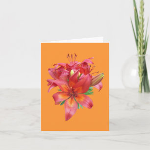 Pink Daylily Photo Folded Note Card