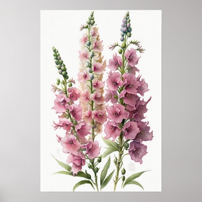 Pink Delphinium Flower Art Print Poster (Front)