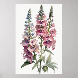 Pink Delphinium Flower Art Print Poster