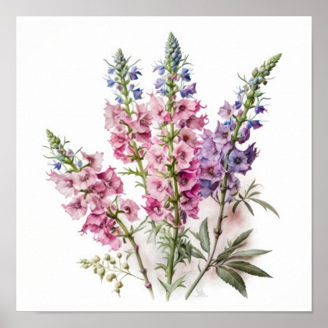 Pink Delphinium Flower Art Print Poster (Front)