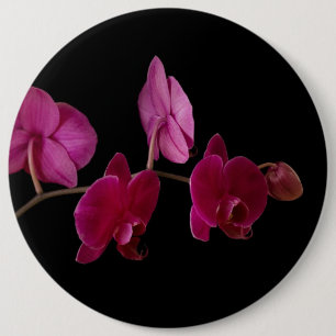 Pink Dendrobium Orchid - Customised Flowers 6 Cm Round Badge