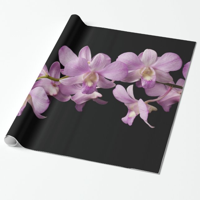 Pink Dendrobium Orchid Flower - Floral Orchids Wrapping Paper (Unrolled)
