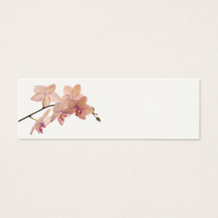 Pink Dendrobium Orchid Flower - Orchids Template