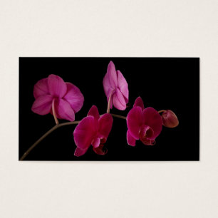 Pink Dendrobium Orchid on Black - Customised