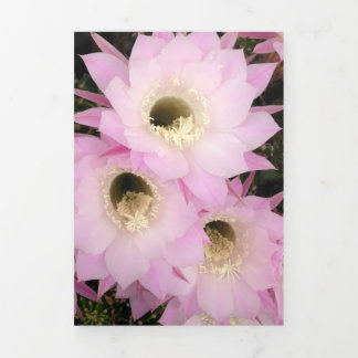 Pink desert petals Tri-Fold card