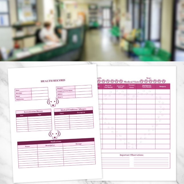 Pink Dog Healthcare Record Keeper Page (Creator Uploaded)