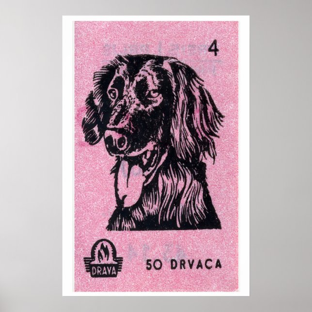 Pink dog - Matchbox Print - Aesthetic Wall Art (Front)