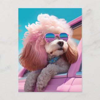 Pink Dog Ride-a-long Postcard