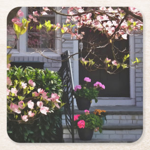 Pink Dogwood and Pots of Geraniums Square Paper Coaster
