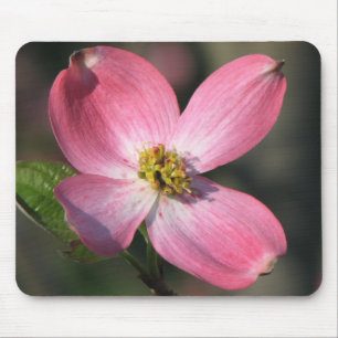 Pink Dogwood Bloom Mouse Pad