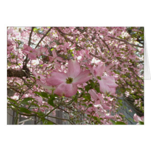 Pink Dogwood Card - Blank Card