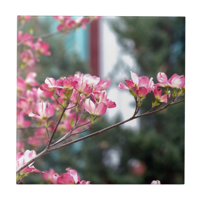 Pink Dogwood Ceramic Tile (Front)