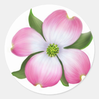 Pink Dogwood Flower Classic Round Sticker