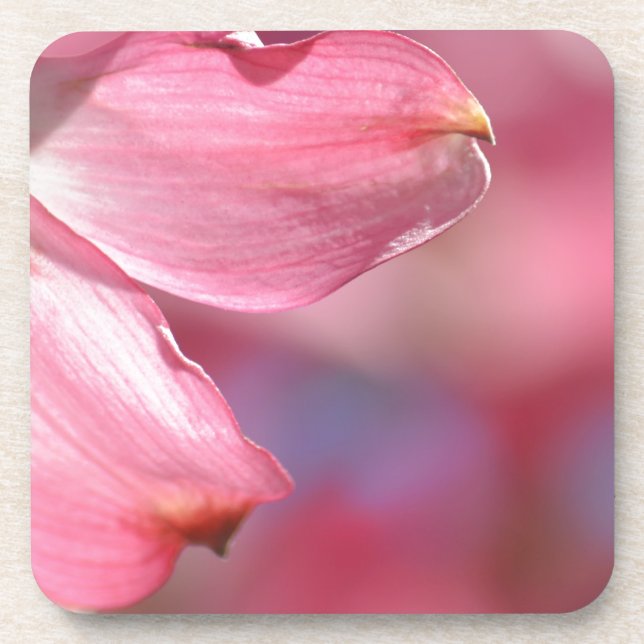 Pink Dogwood Flowers Coaster (Front)