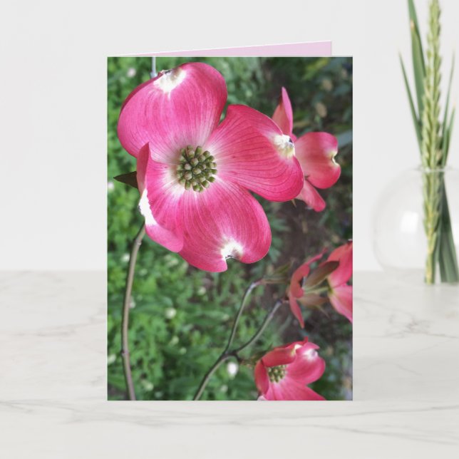 Pink Dogwood Greeting Card (Front)