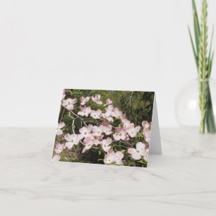 Pink Dogwood Note Card