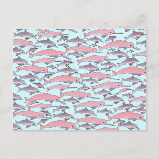 Pink Dolphin Pattern Postcard