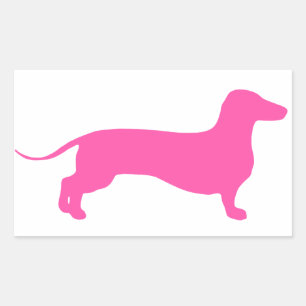 Pink Doxie Rectangular Sticker