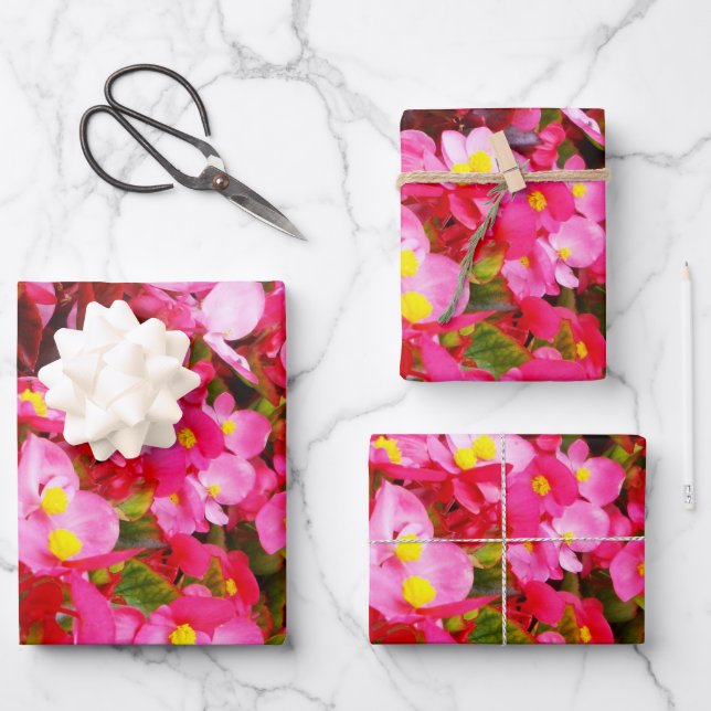 Pink Droplets Of Spring, Begonia,  Wrapping Paper Sheet (Front)