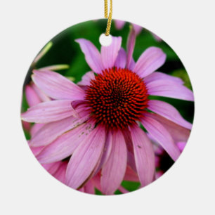 pink echinacea flower ornament