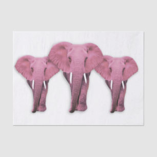 Pink Elephant Tissue Paper