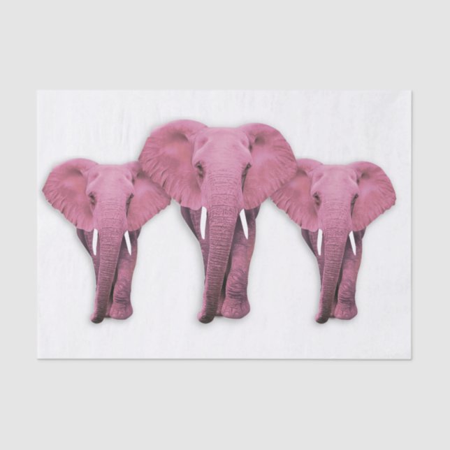 Pink Elephant Tissue Paper (Front)