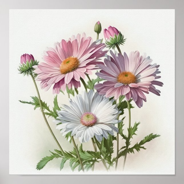 Pink English Daisy Flower Art Print Poster (Front)