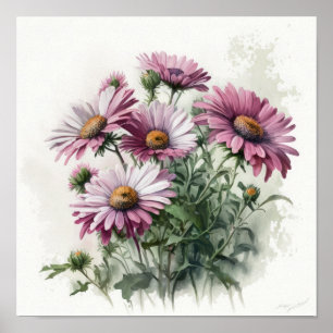 Pink English Daisy Flower Art Print Poster